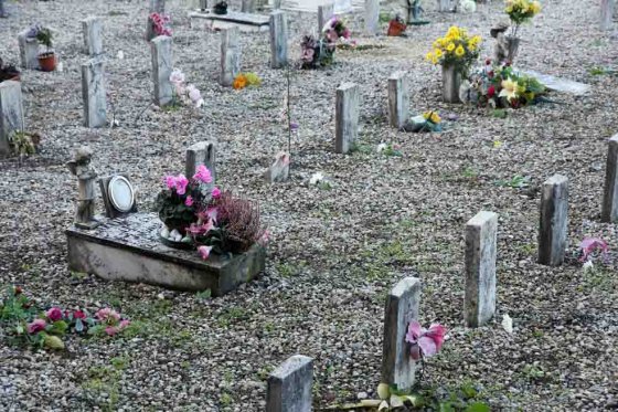 La entidad entregó los cuerpos después de realizar las respectivas labores de Policía Judicial junto a la Policía Nacional y tras los estudios forenses. / Cortesía