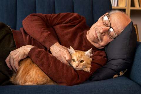 La razón por la que un gato se vuelve cariñoso con su dueño de repente