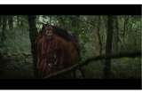 Película de Netflix "Outlaw King" abrirá el Festival de Cine de Toronto 2018
