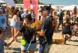 Así es el entrenamiento de los perros de rescate acuático que salvan vidas en el mar