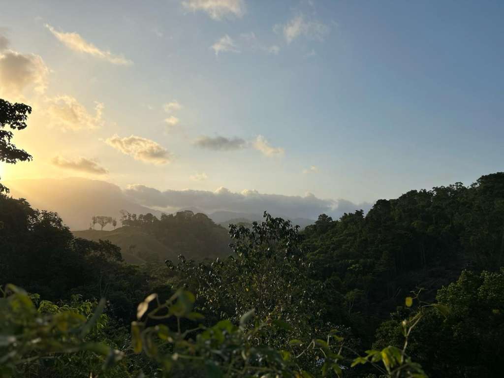 El Chocó biogeográfico es una de las regiones de importancia ambiental claves del país por su biodiversidad.
