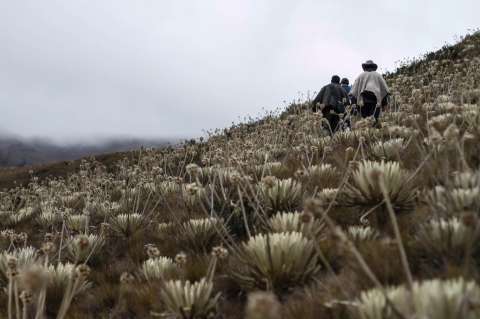 Lanzan documental sobre la relación entre el cambio climático y las mujeres rurales