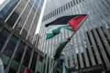 Desmontan en Nueva York un complot para asesinar a activista propalestina, ¿qué pasó?