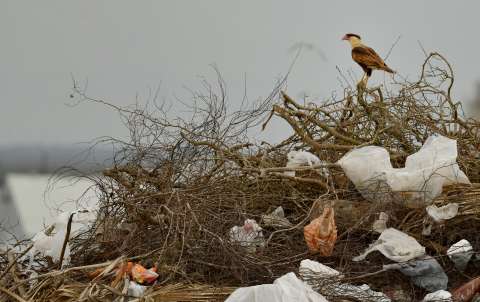 El planeta está más cerca de un tratado para eliminar la contaminación por plásticos