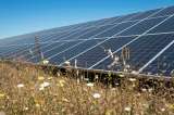 Las Vegas sería iluminada por proyecto solar de US$1.000 millones