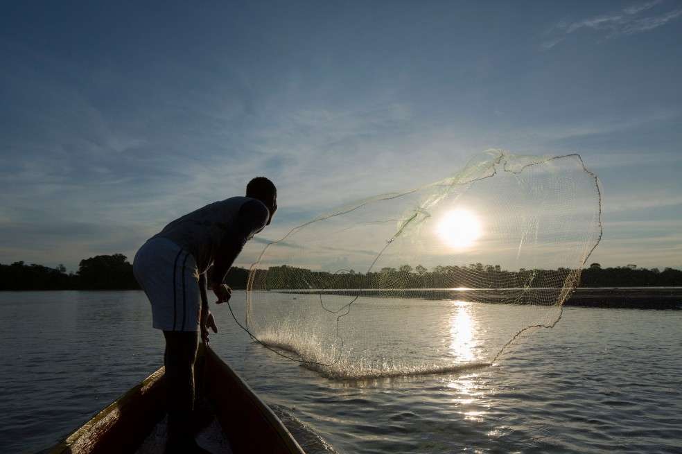 Soluciones basadas en la naturaleza (SbN), cruciales para mantener nuestro bienestarLas soluciones basadas en la naturaleza protegen, restauran y gestionan de forma sostenible los ecosistemas./ Javier La Rotta / WWF-Colombia