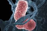 El plan de EE.UU. para vigilar sus bacterias