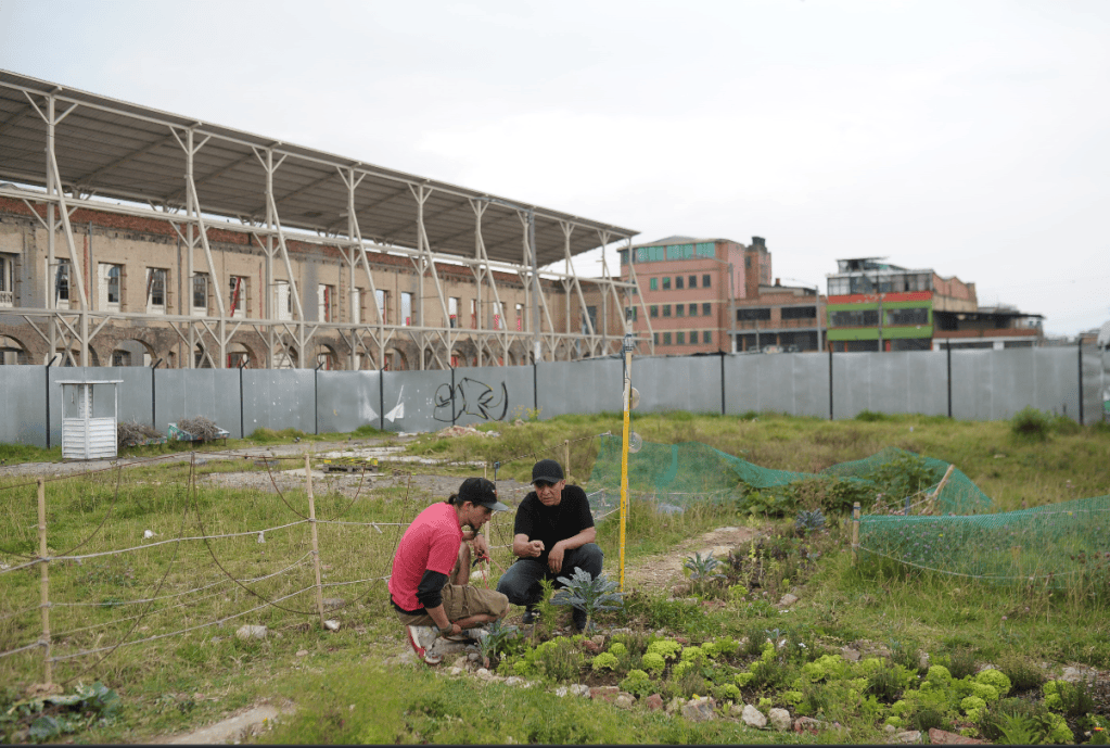 Huerta del Bronx