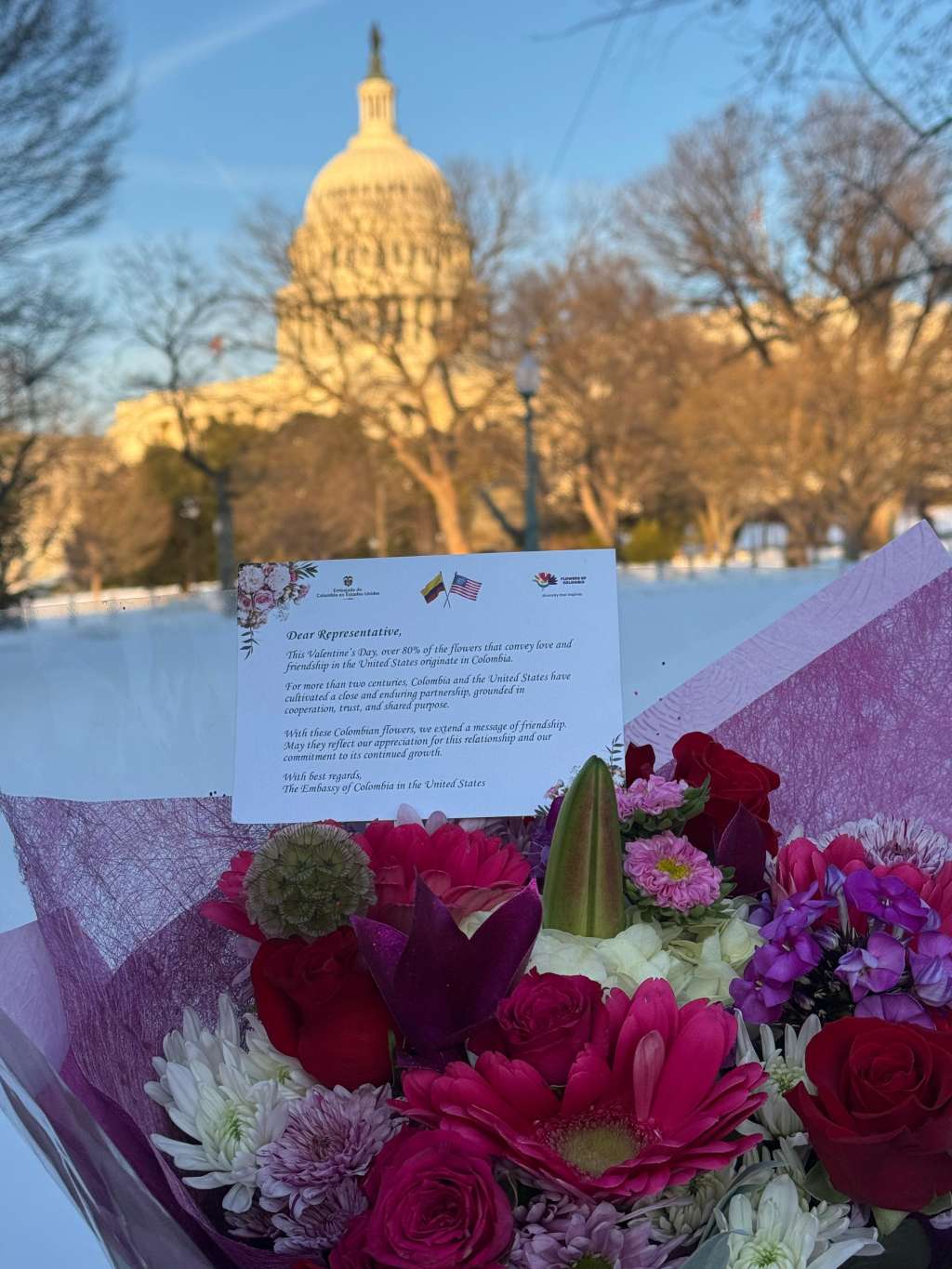 En San Valentín, las Flores de Colombia engalanan el Congreso de Estados Unidos como símbolo de amistad entre los dos países