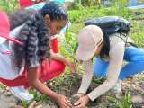 Los niños que le dieron voz al manglar: la escuela que convirtió un ecosistema invisible en un aula viva