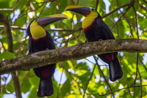 La nueva apuesta por la protección de la biodiversidad en Colombia