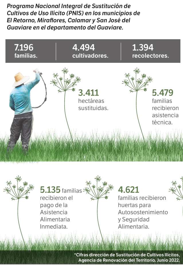 Cifras dirección de Sustitución de Cultivos Ilícitos. Agencia de Renovación del Territorio a junio del 2022.