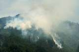 Aún no ha sido controlado el incendio forestal en cerro de Monserrate