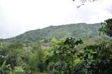 Los caficultores de la Sierra Nevada de Santa Marta le apuestan a la producción sostenible