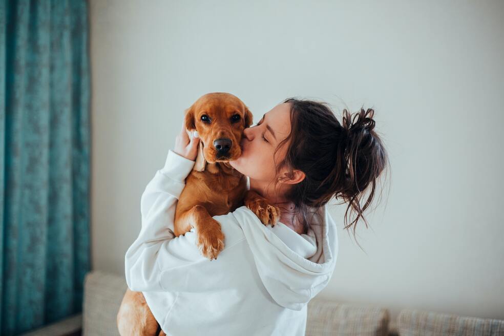 5 señales con las que tu perro demuestra que te ama