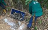 Comunidad reporta mortandad de peces en el Magdalena Medio