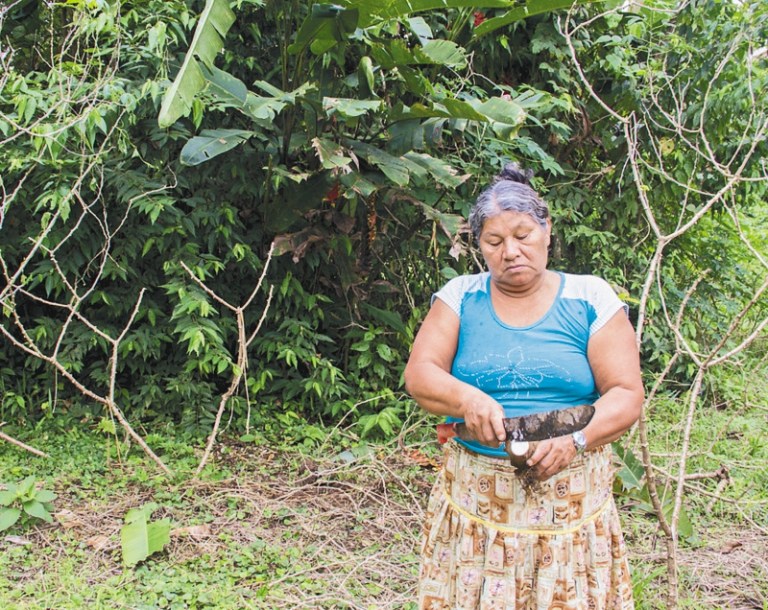 Con hambre es imposible conservar la Amazonia