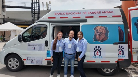 Conozca el tipo de sangre de su mascota en el Banco Nacional de Sangre Animal
