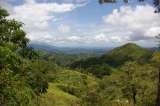 Así es como el narcotráfico impulsa la deforestación en Centroamérica