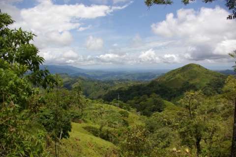 Así es como el narcotráfico impulsa la deforestación en Centroamérica