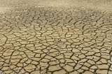 La humanidad ya agotó los recursos del planeta para este año, según ONG