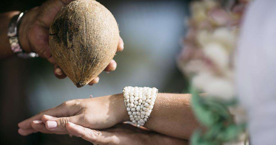El coco, mucho más que una fruta tropical