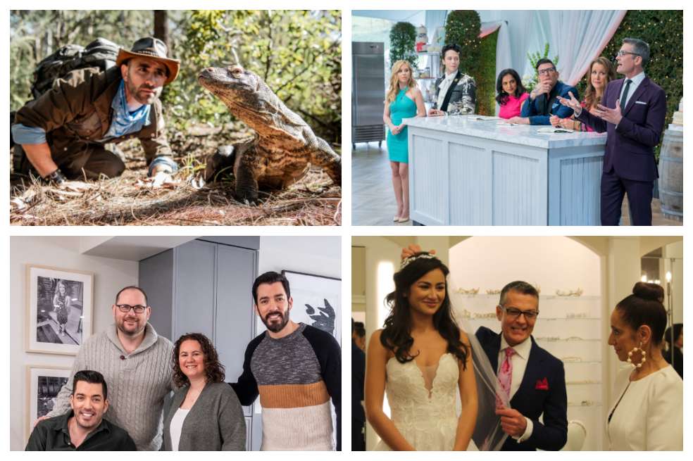 "Coyote Peterson: aventuras salvajes", "Campeonato de pasteleros: pastel de bodas", "Hermanos a la Obra: Un hogar para siempre", "Vestido de Novia" son algunas de las novedades que llegan a Discovery.