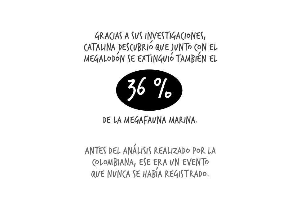 Catalina pimiento megalodón