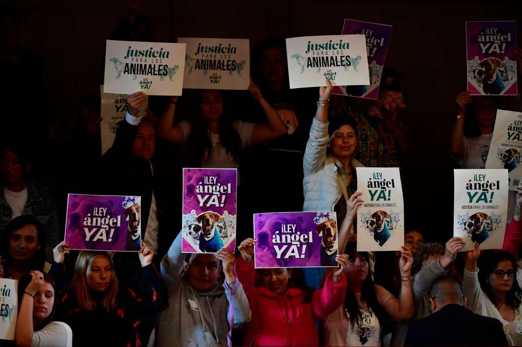 Debate de aprobación de la Ley Ángel para mascotas en el Congreso de la República, ley que castiga el maltrato animal