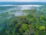 Proteger el 1,2% de la Tierra evitaría la extinción de las especies más amenazadas