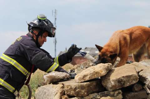“No hay ninguna máquina capaz de superar al perro en las labores de rescate”