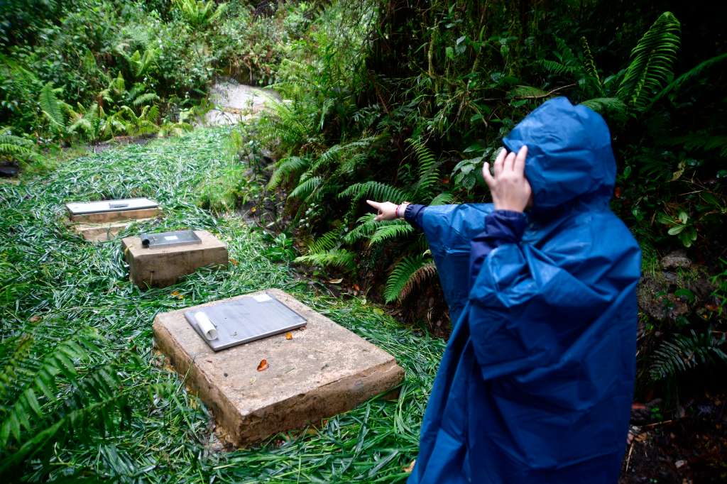 Cajas de mampostería ubicadas sobre los manantiales naturales de la cuenca en Tres Quebradas, en La Calera y que están bajo el control de Femsa, filial de Coca Cola en Latinoamérica