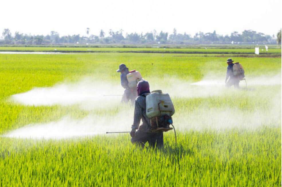 Fumigación en un cultivo agrícola. / AdobeStock