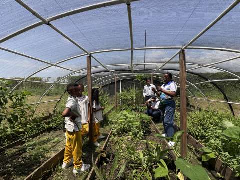 La estrategia de esta fundación para escalar soluciones sostenibles en los territorios