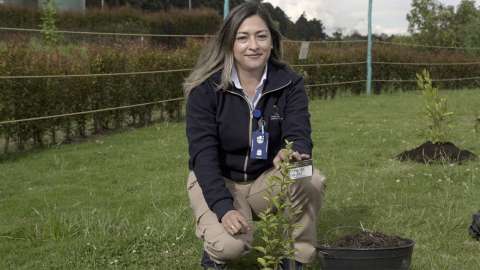 Bosque de la esperanza: un homenaje a las víctimas de COVID-19 en Colombia