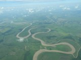 “Conflictos entre humanos y vida silvestre están causando disminución de especies”
