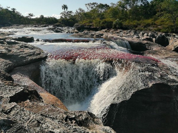 Ecoturismo en los Parques Nacionales: recorridos entre selvas y ríos de colores