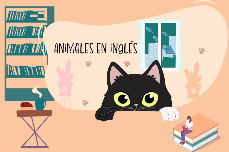 ¿Cómo se dice gato y otros animales en inglés? Aquí le decimos