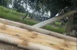 Asocaña denuncia que invasores secuestraron a una niña y su padre en el Cauca