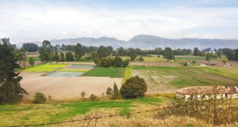 Disputa por la Reserva Thomas Van der Hammen en el norte de Bogotá