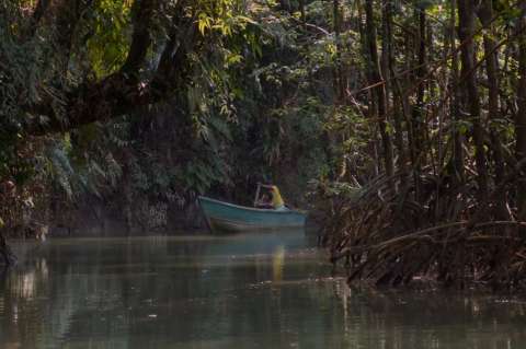 Una existencia arruinada por exceso de imposibilidades: “La pesca del atún blanco”