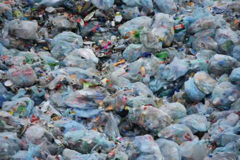ONU pide la restricción de bolsas de plástico para evitar contaminación en océanos
