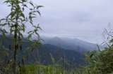Padre e hijo fueron asesinados en zona rural de Huila