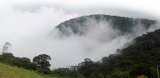 Denuncian que bosque de niebla en Soacha estaría en riesgo por proyectos de energía