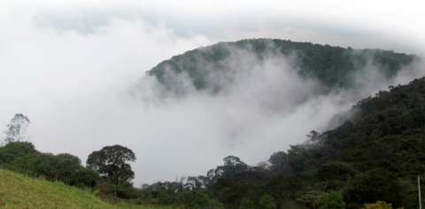 Denuncian que bosque de niebla en Soacha estaría en riesgo por proyectos de energía