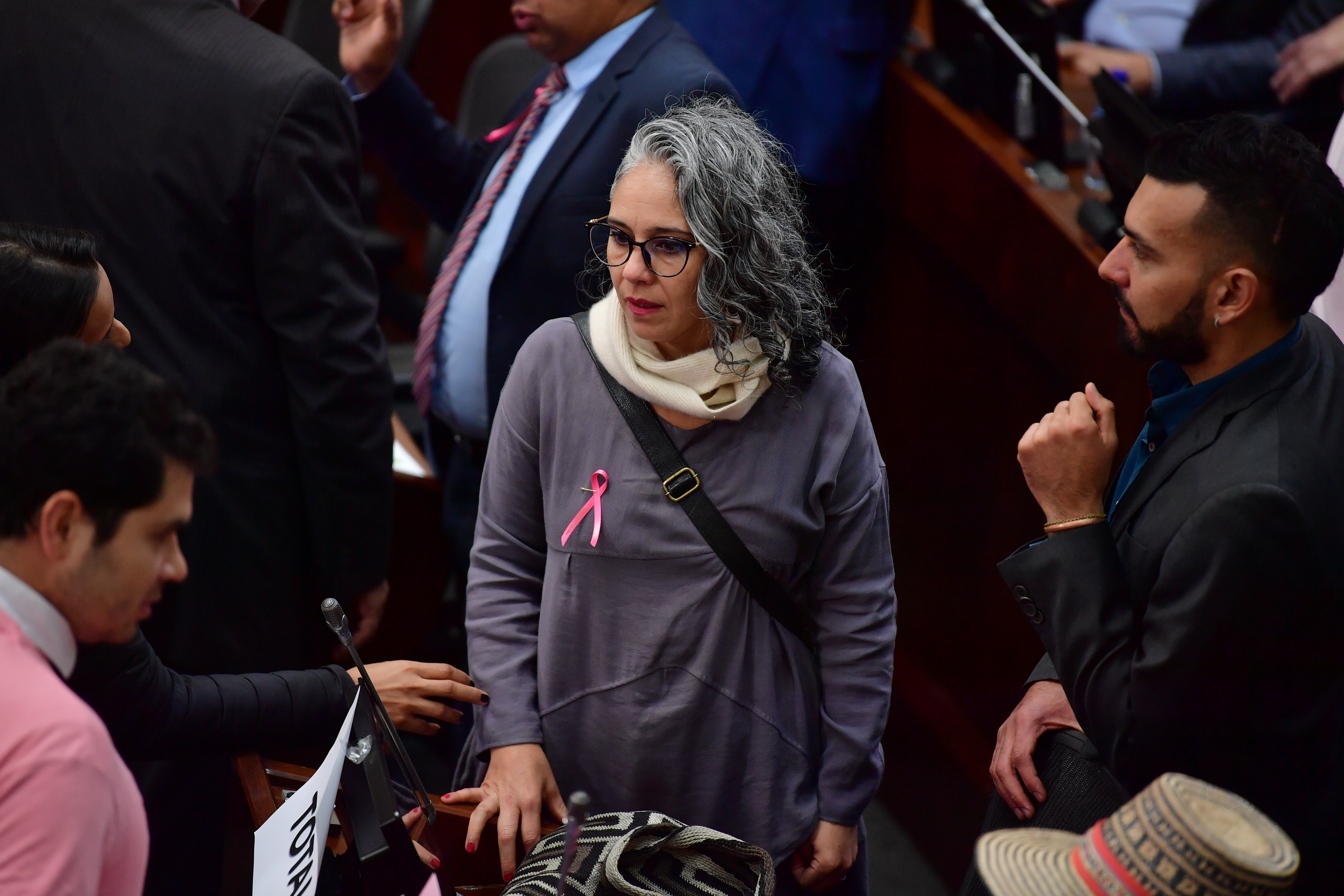 Senadora en el debate sobre "Tierras para campesinos" y "Paz Total".