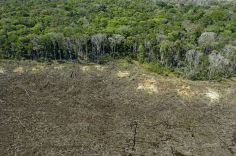 EEUU se suma a cooperantes internacionales con USD mil millones para la Amazonia