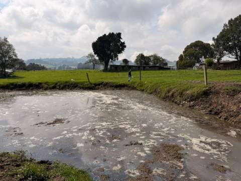 Sancionan a establo en zona rural de Zipaquirá por contaminar agua con estiércol