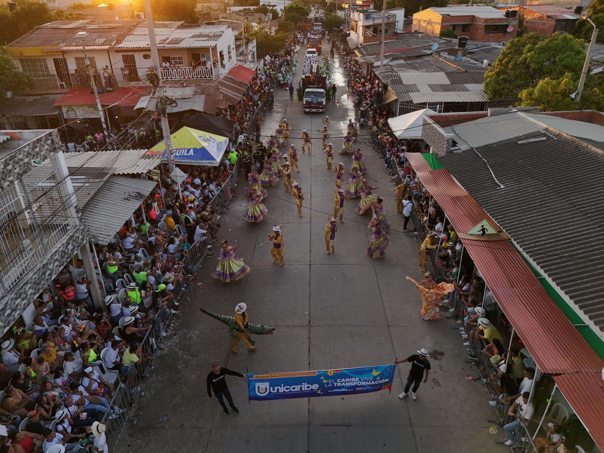 Gran parada de caimanes