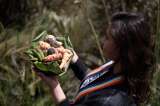 Cumbre campesina previa a la COP16 se realizará el 29 y 30 de agosto en Fusagasugá